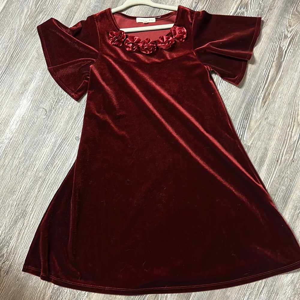 Beautiful velvet girls dress